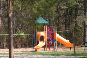 Playground, Volleyball, Community Fire Pit are just some of the amenities you'll find at Crystal Springs